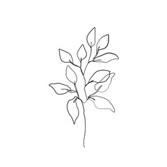 One Line Drawing Vector Leaves. Floral Modern Single Line Art, Aesthetic Contour. Perfect for Home Decor, Posters, Prints, Wall Art, Tote Bag, t-shirt, Sticker, Mobile Case. Flower Drawing.