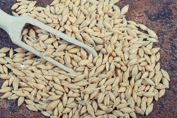 Wheat grain with spoon on old rustic background. Agriculture