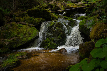 Naturfarben der Ysperklamm