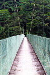 Fototapeta premium 吊り橋01