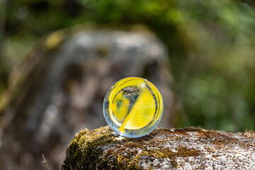 Fototapete bei efototapeten.de bestellen   