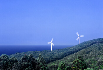 青森県の北端、下北半島には風力発電の風車が点在する。夏空を背景に海風を受けて回る。