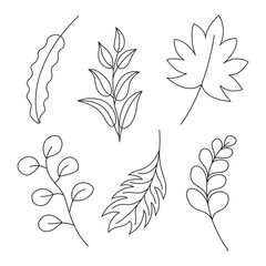 Set of black hand drawn thin line cute doodle leaves. Design element collection isolated on white.