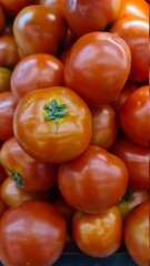 tomatoes on the market