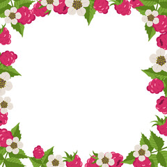 Frame with raspberries, leaves and white flowers on a white background. Bright berry square pattern. Summer food banner