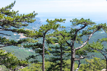 The mount Ai-Petri on a sunny day.