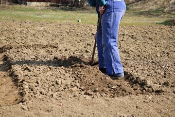 A farmer cultivates shoveled soil before planting in the spring in a traditional village