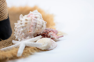 starfish and shells on straw hat with copy space 