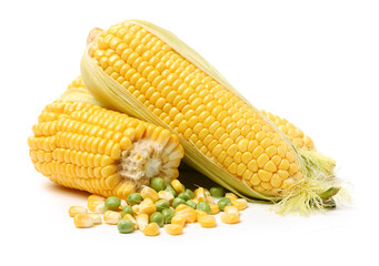 Corn on a white background 
