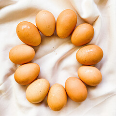 Golden chicken eggs