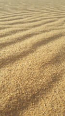 Fototapeta na wymiar sand dune texture