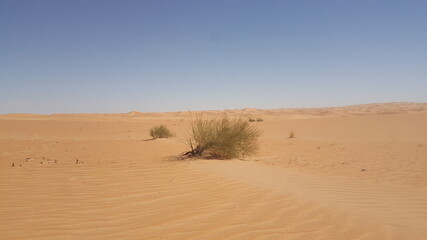 Fototapeta na wymiar Algerian desert