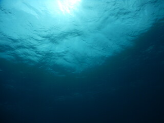 沖縄の海でダイビング中に見かけた水中から眺めた太陽の光で映える水面