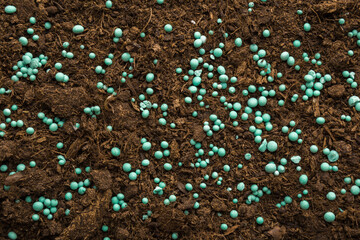 Green complex fertiliser granules on dark brown soil. Closeup. Product for root feeding of...