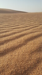 sand dunes in the desert