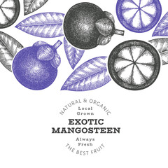 Hand drawn sketch style mangosteen design template. Organic fresh food vector illustration on white background. Retro fruit banner.