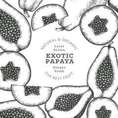 Hand drawn sketch style papaya banner. Organic fresh fruit vector illustration. Retro fruit design template