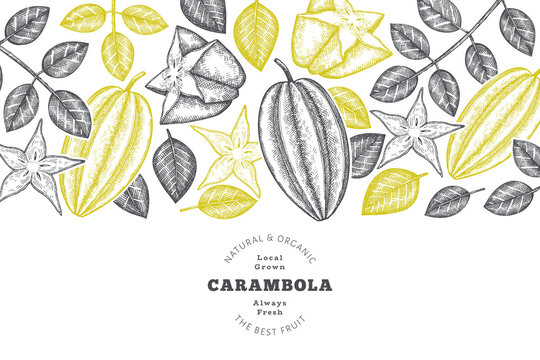 Hand drawn sketch style carambola banner. Organic fresh fruit vector illustration. Retro fruit design template