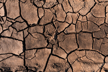 Drought background, texture of dry mud with cracks