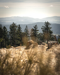 View over the Top of Muntains in the Bavarian Forest