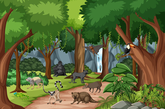 Tropical rainforest scene with various wild animals