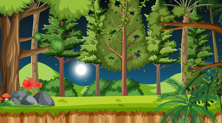 Nature forest at night scene with many trees
