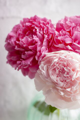 a bouquet of three lush pink peonies stands in a vase on the window; a modest gift for a holiday; picture for a flower shop or florist