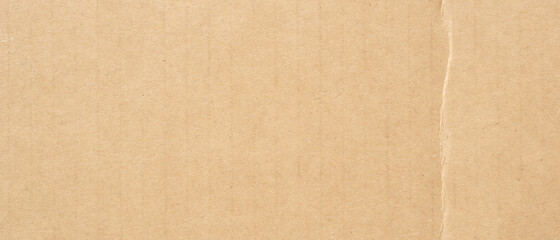 crumpled paper texture background, real cardboard pattern