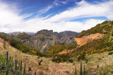 Naklejka premium Panorama of mountains in Madeira island, Portugal, Europe. Beautiful destination for travel and hiking.