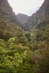 Fototapeta na wymiar Beautiful waterfall in green landscape at Levada das 25 Fontes, Madeira island, Portugal.