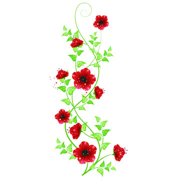 Flower decoration Beautiful greeting card invitation vector illustration