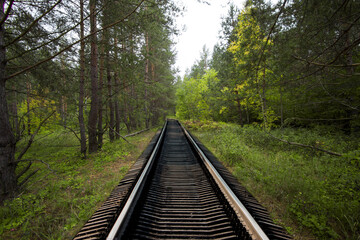 Fototapeta premium railway in the forest
