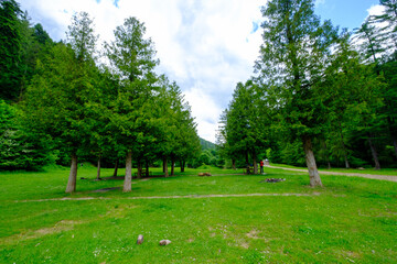  picnic table in the forest, Romania forest. Romania landscape