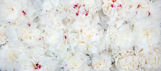 Vintage bouquet Creative Art of Peony plant. Blossoms of natural Flower Peonia Garden flowers in full bloom. Floral background. Natural pattern wallpaper texture. Floristic wedding decoration