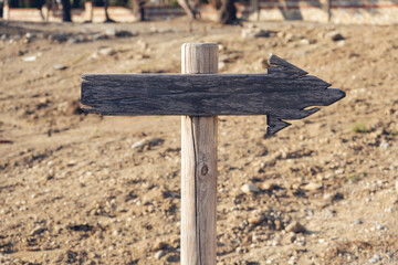 Wooden sign with arrow in stand in the forest under a tree. The concept of Hiking, nature landscape environment concept image of empty space for your text here