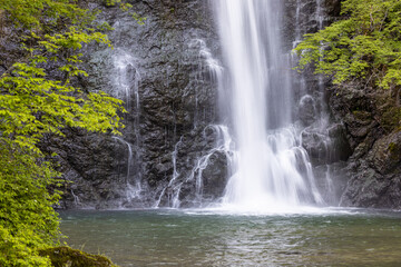 Fototapeta na wymiar 箕面の滝