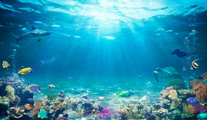 Unterwassertauchen - tropische Szene mit Meereslebewesen im Riff