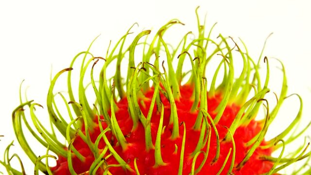 4K  whole red freen color rambutan fruits and one peeled rambutan. Rotating on the turntable isolated on the white background. Close up. Macro