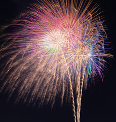 夜空を彩る大輪の花火