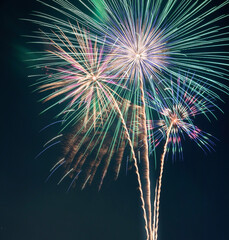 夜空を彩る大輪の花火