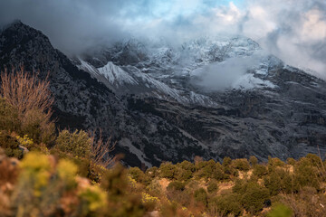Thick white clouds covered the mountain peaks