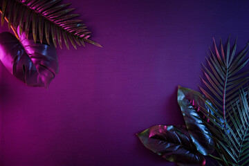 Moody contemporary illuminated night background with copy space and tropical palms in a vibrant...