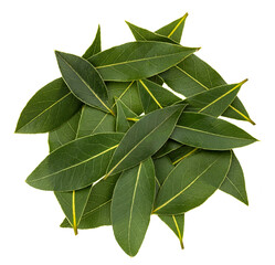 Heap of fresh bay leaves, top view