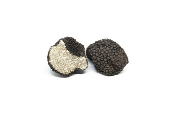 black truffle, tuber aestivum, white background