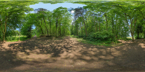 path in a german forest 360° x 180° spherical panorama
