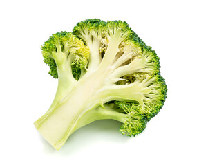 fresh sliced broccoli  isolated on white background