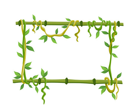 Tropical liana frame, jungle plant branches with leaves. Tropical climbing liana vine with green leaves. Cartoon lianas frame shaped. Liana branches