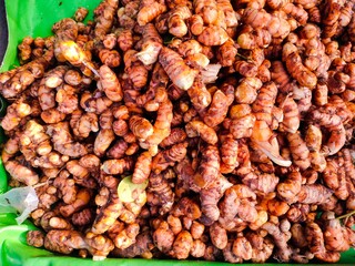 selective focus on turmeric (Curcuma longa)