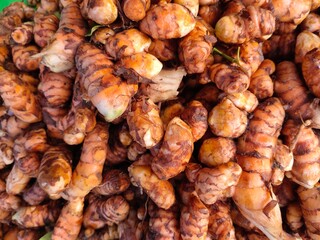 selective focus on turmeric (Curcuma longa)