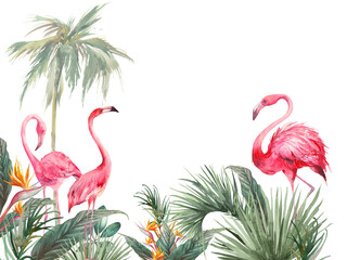 Tropical wallpaper design. Illustration with palm tree, exotic leaves and flamingos. Pink birds and jungle flora isolated on white background.